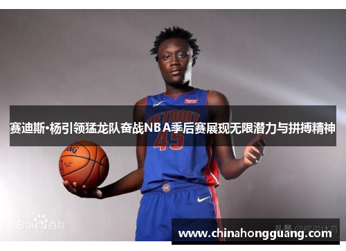 赛迪斯·杨引领猛龙队奋战NBA季后赛展现无限潜力与拼搏精神